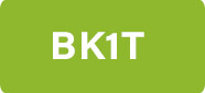 Technisches Berufskolleg 1 (1BK1T)